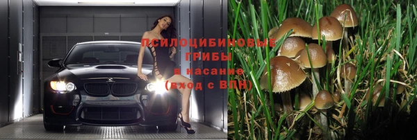 СК Нязепетровск