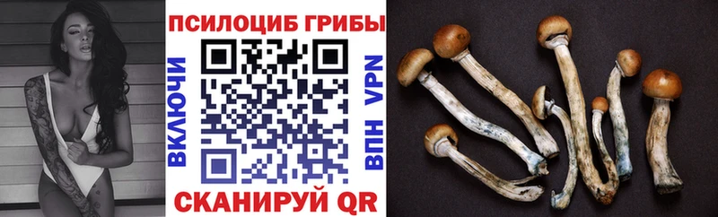 Галлюциногенные грибы MAGIC MUSHROOMS мега ТОР Межгорье